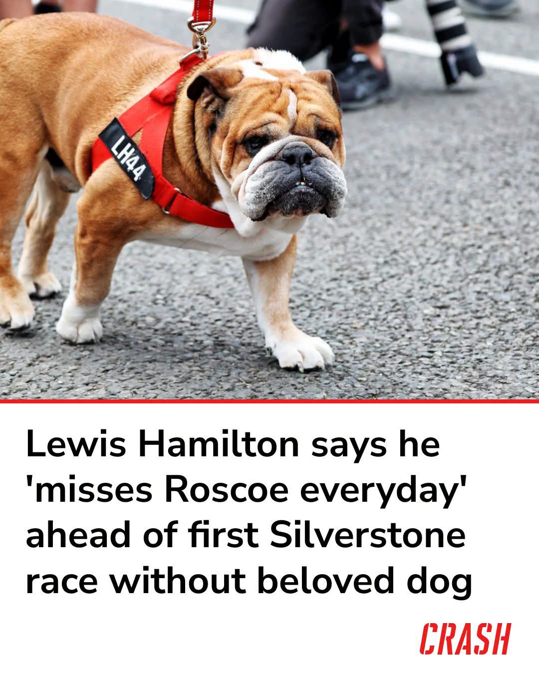 LEWIS HAMILTON OPENS UP ABOUT LIFE WITHOUT ROSCOE AHEAD OF EMOTIONAL BRITISH GRAND PRIX RETURN